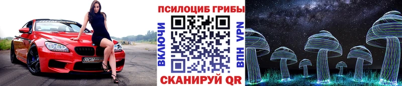 сколько стоит  Петрозаводск  Псилоцибиновые грибы MAGIC MUSHROOMS 